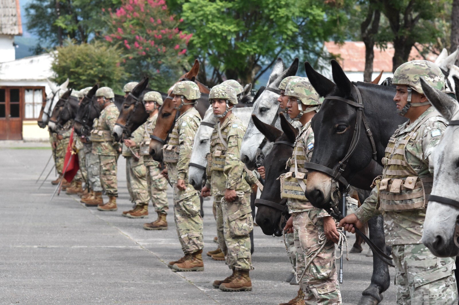 WhatsApp Image 2024-12-19 at 15.41.50 (6).jpeg WhatsApp Image 2024-12-19 at 15.41.50 (6).jpeg