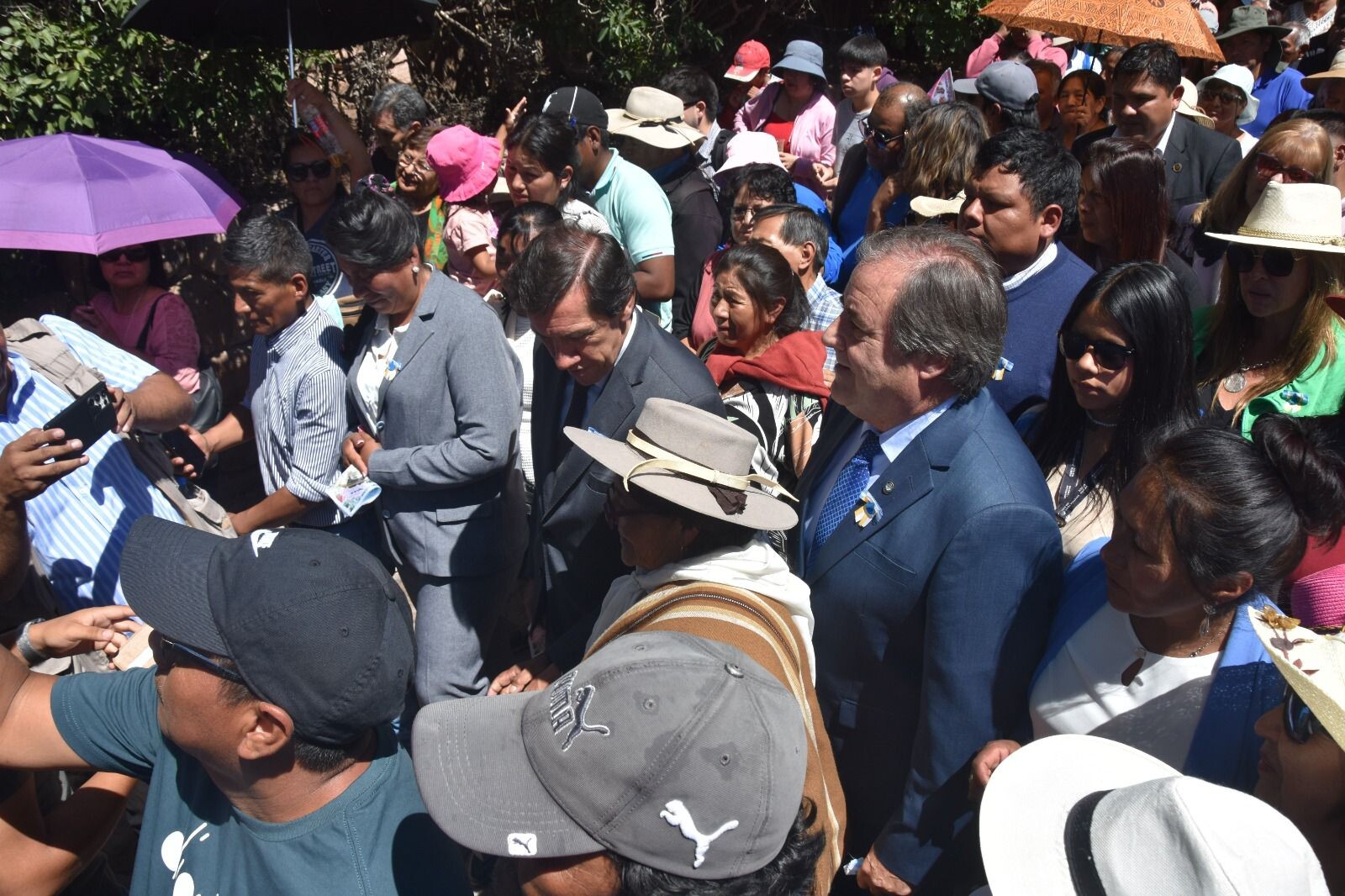 WhatsApp Image 2025-02-02 at 18.47.08.jpeg WhatsApp Image 2025-02-02 at 18.47.08.jpeg