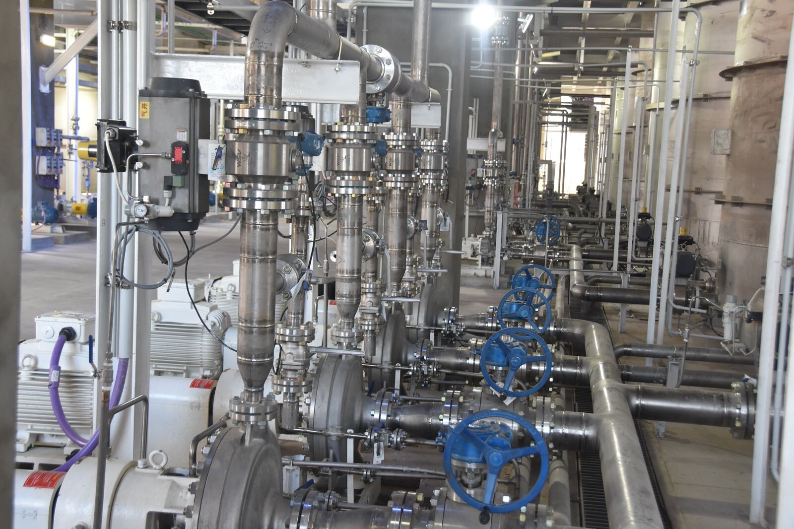 WhatsApp Image 2025-02-12 at 15.41.36.jpeg