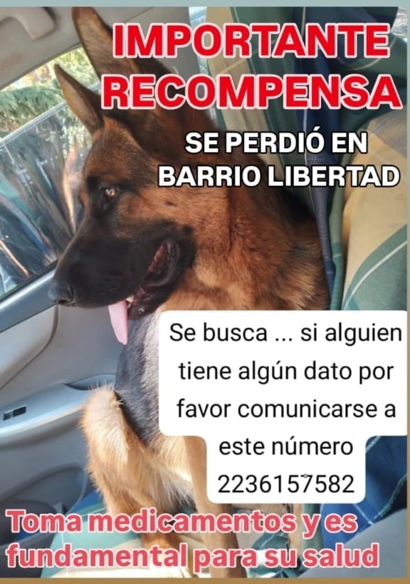 Importante recompensa