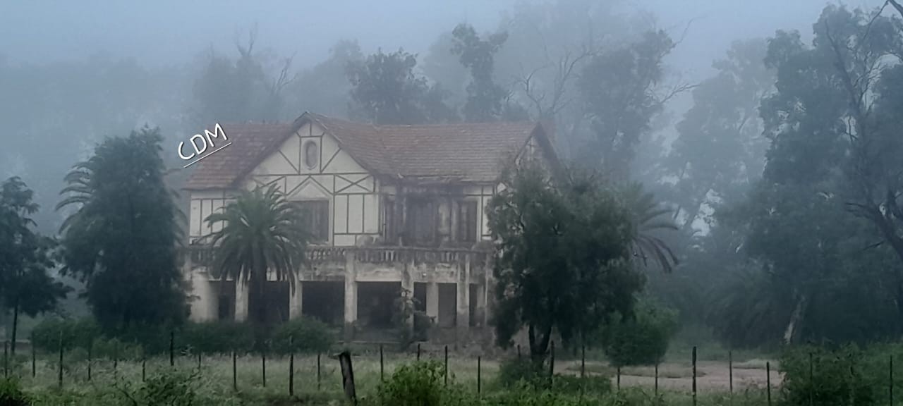Miércoles de neblina