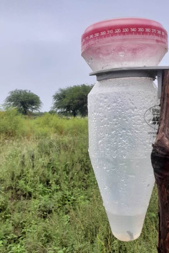 Vuelve a llover por Colonia Dora