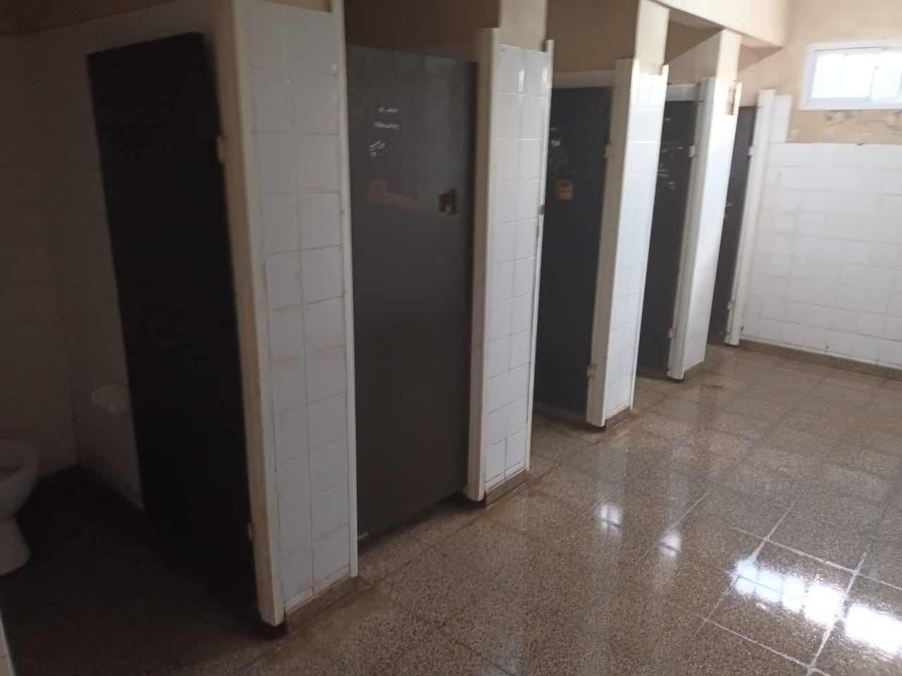 WhatsApp Image 2025-04-03 at 18.27.44 (1).jpeg