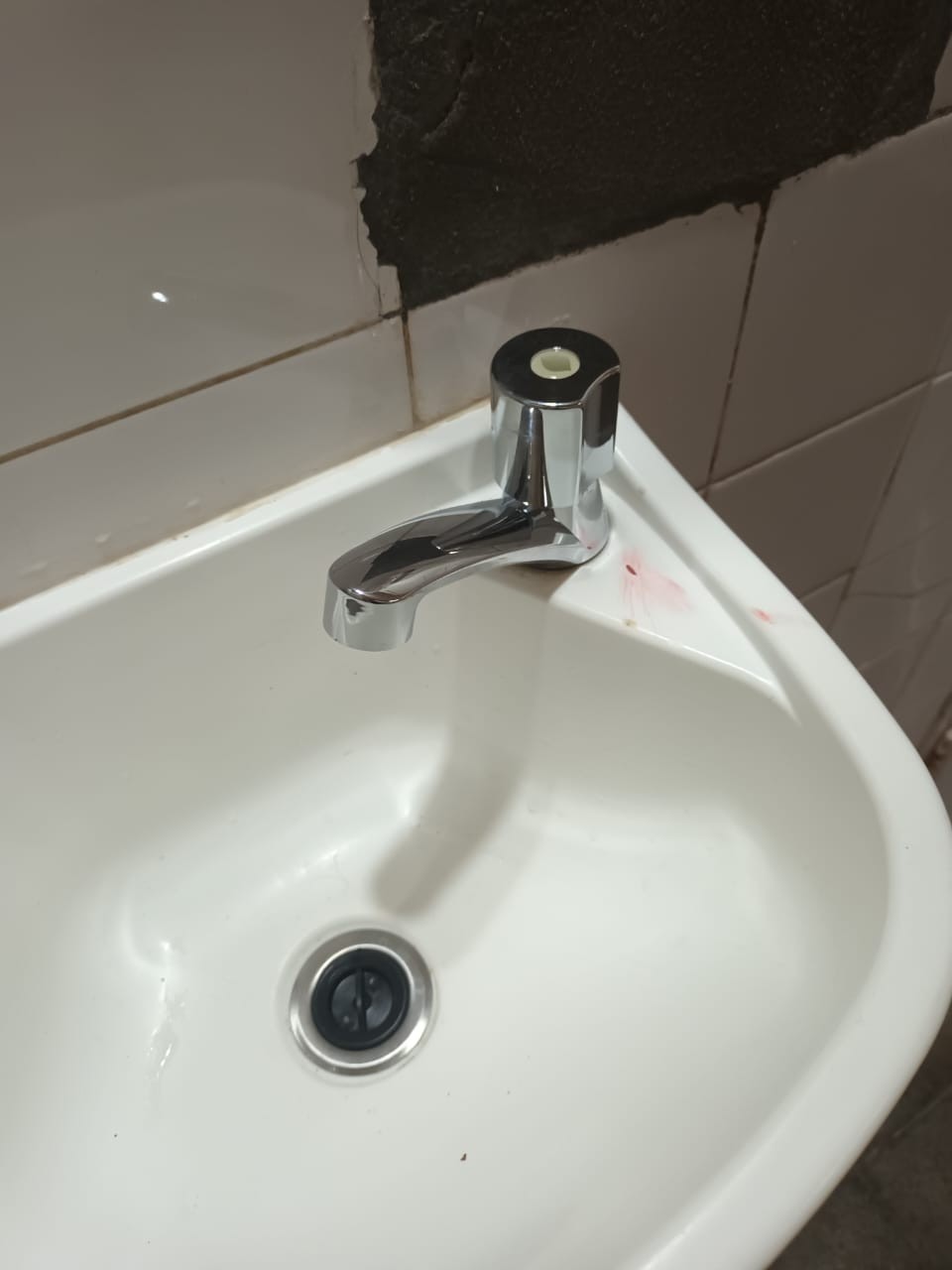 WhatsApp Image 2025-04-03 at 18.27.44.jpeg