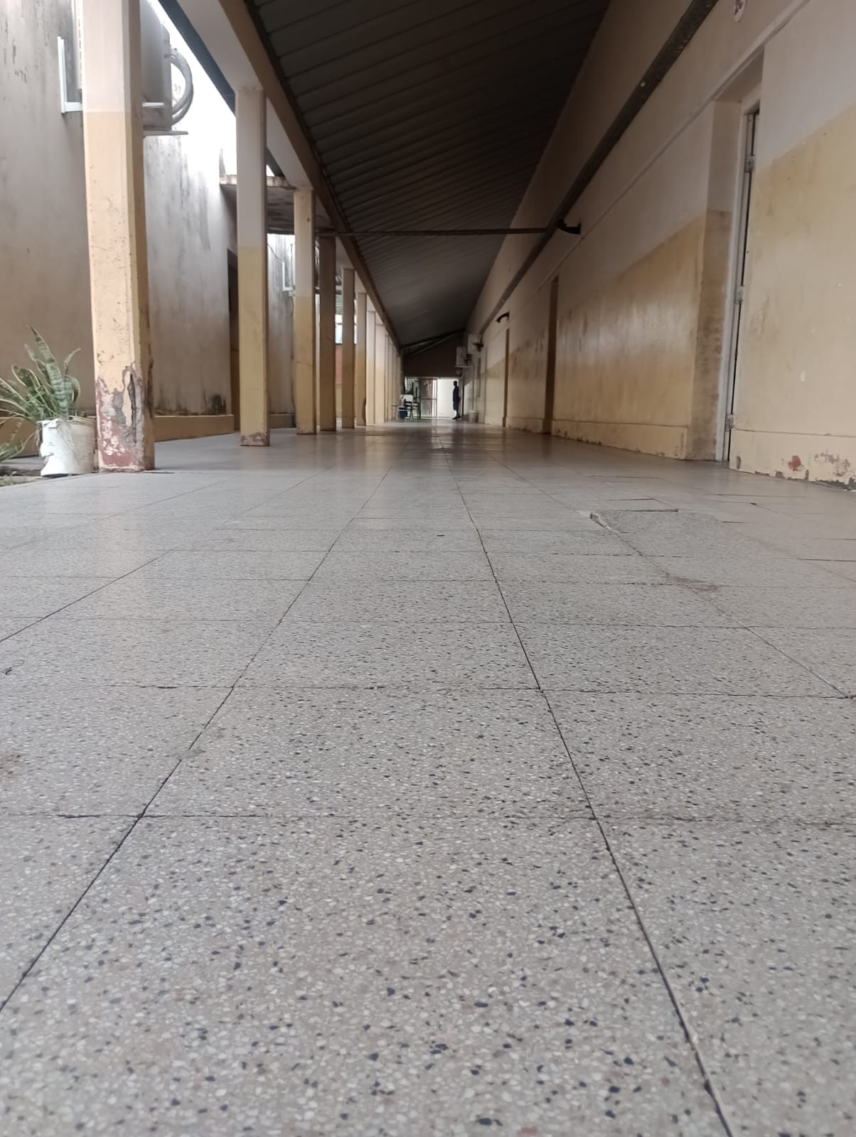 WhatsApp Image 2025-04-03 at 18.41.49.jpeg