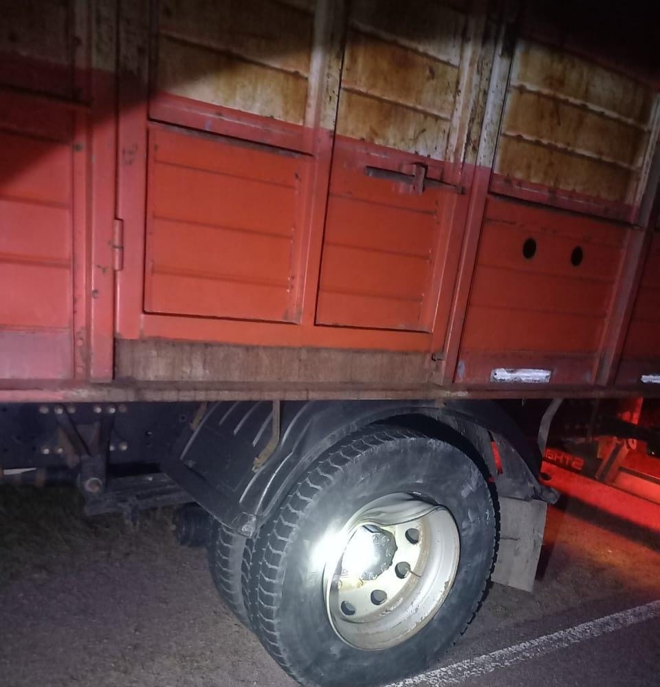 WhatsApp Image 2025-05-02 at 00.37.04.jpeg