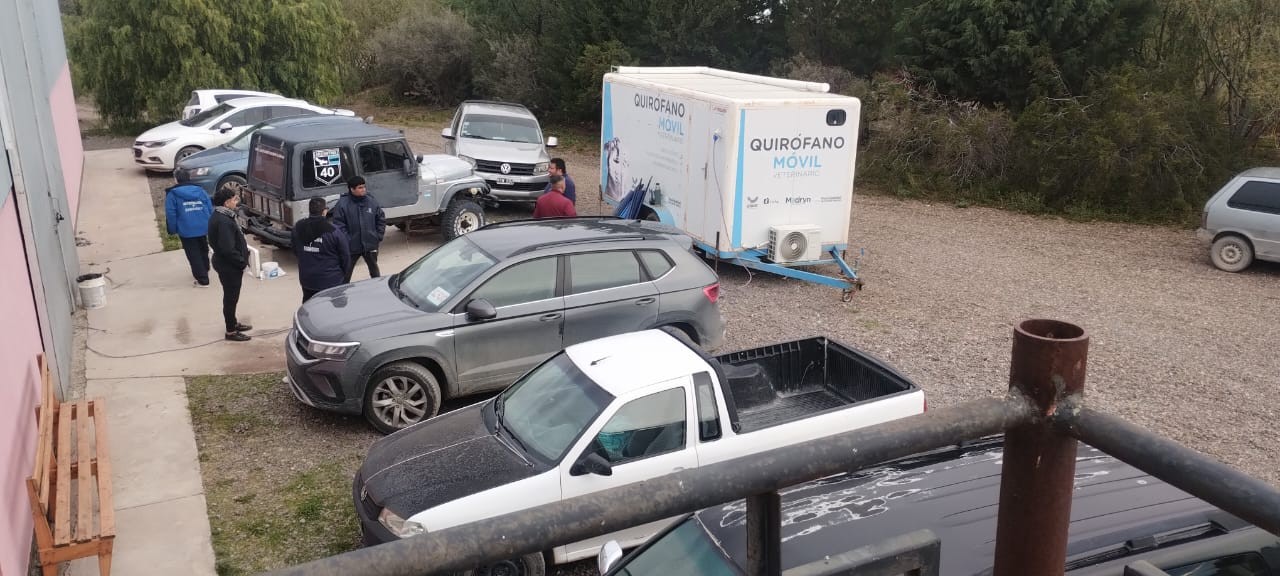 WhatsApp Image 2025-05-03 at 11.45.17 (1).jpeg WhatsApp Image 2025-05-03 at 11.45.17 (1).jpeg