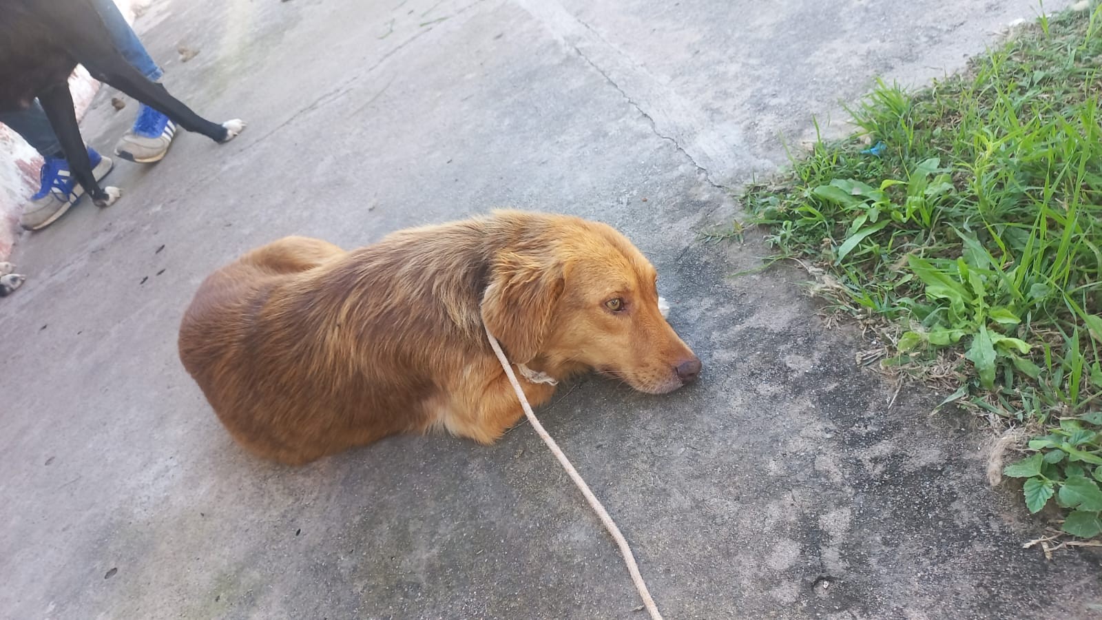 WhatsApp Image 2025-05-11 at 12.27.04.jpeg