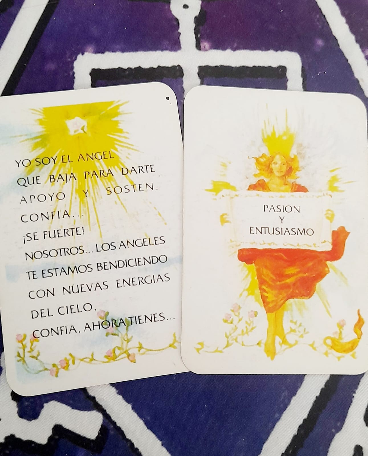 WhatsApp Image 2025-05-29 at 12.53.08 (1).jpeg WhatsApp Image 2025-05-29 at 12.53.08 (1).jpeg