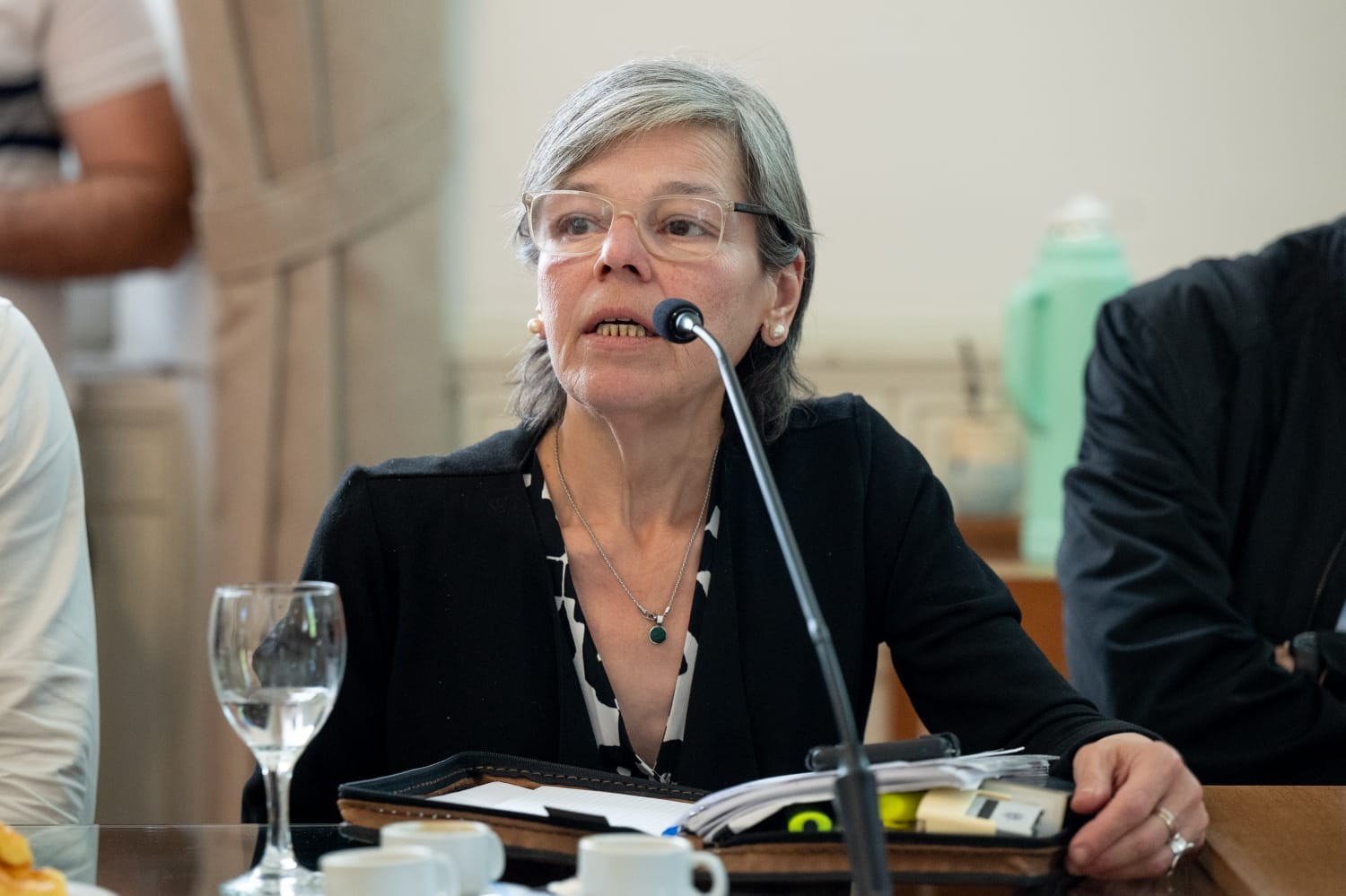 Belén Malaisi presentó proyectos en la Legislatura bonaerense