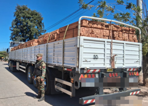 WhatsApp-Image-2025-08-26-at-8.47.09-PM-300x216.png La Policía Rural y Ambiental incautó un cargamento ilegal de madera en Anta