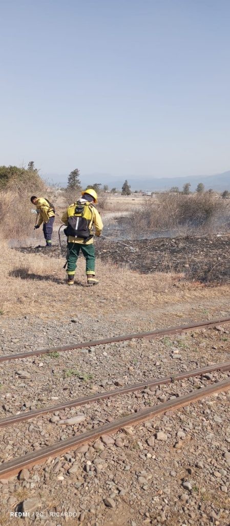 WhatsApp-Image-2025-08-30-at-9.49.59-PM-1-449x1024.jpeg Intervenciones por incendio de pastizales en distintos puntos de la provincia
