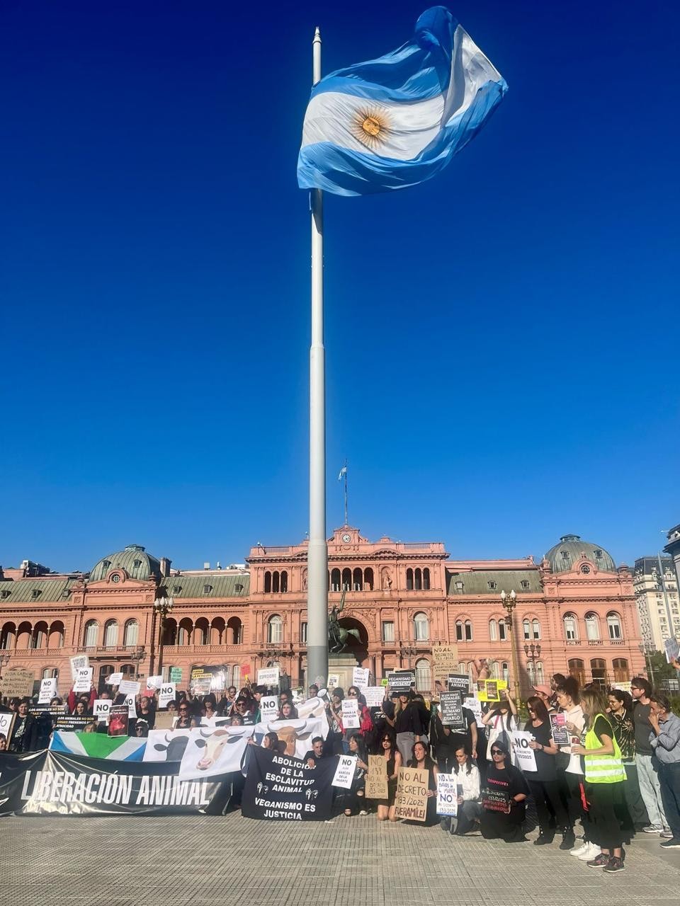 Decreto 133: un retroceso en la protección animal y en el respeto a la jerarquía normativa