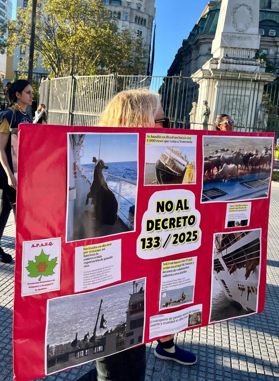 cartel-marcha-no-al-decreto-133