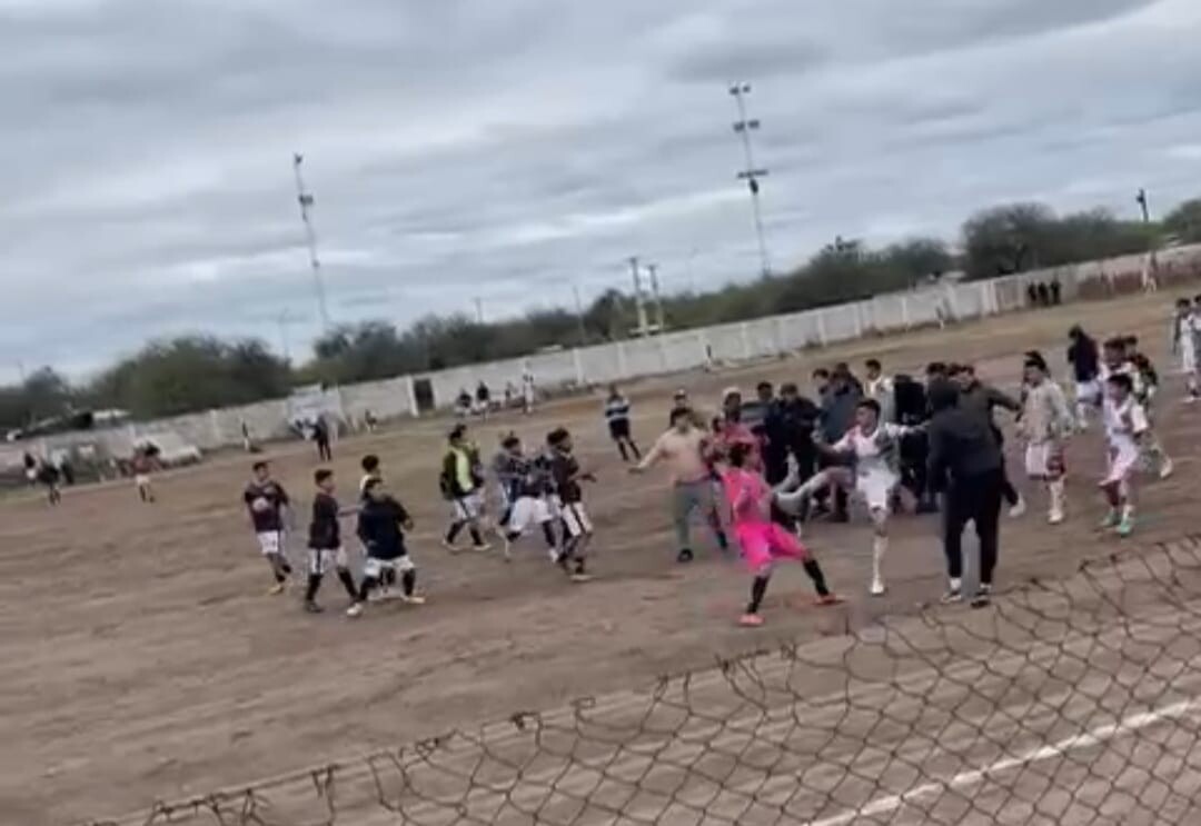 WhatsApp Image 2025-09-11 at 11.42.59.jpeg