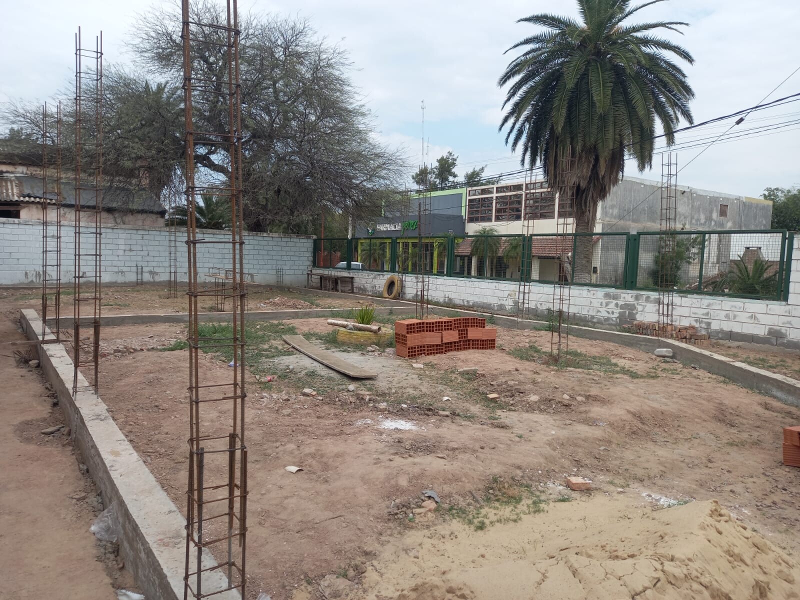 WhatsApp Image 2025-10-02 at 23.19.29.jpeg