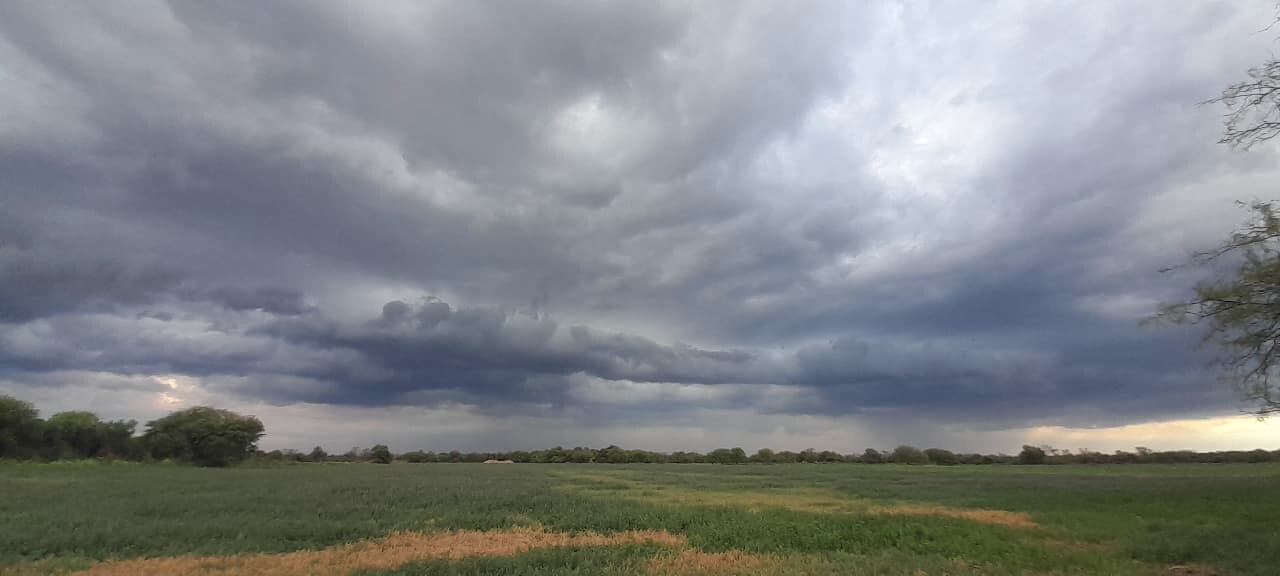 Libanesa City informa