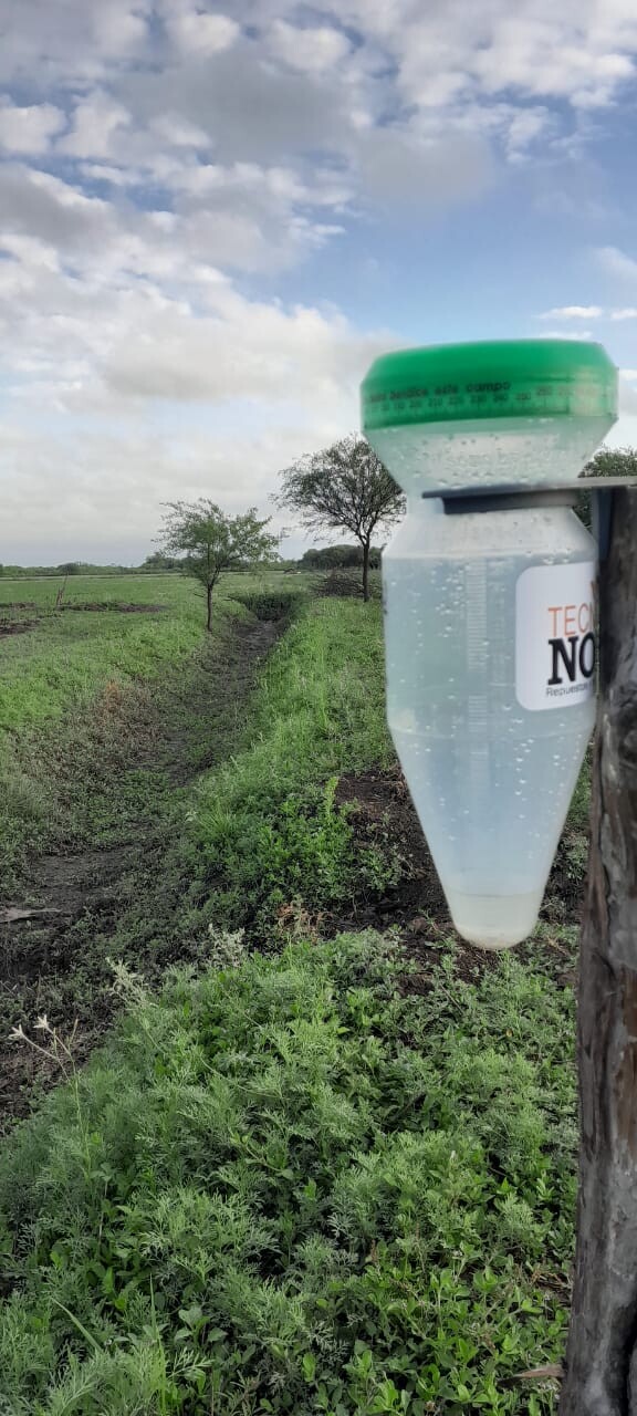 WhatsApp Image 2025-10-18 at 07.55.07.jpeg Solo, para calmar la tierra