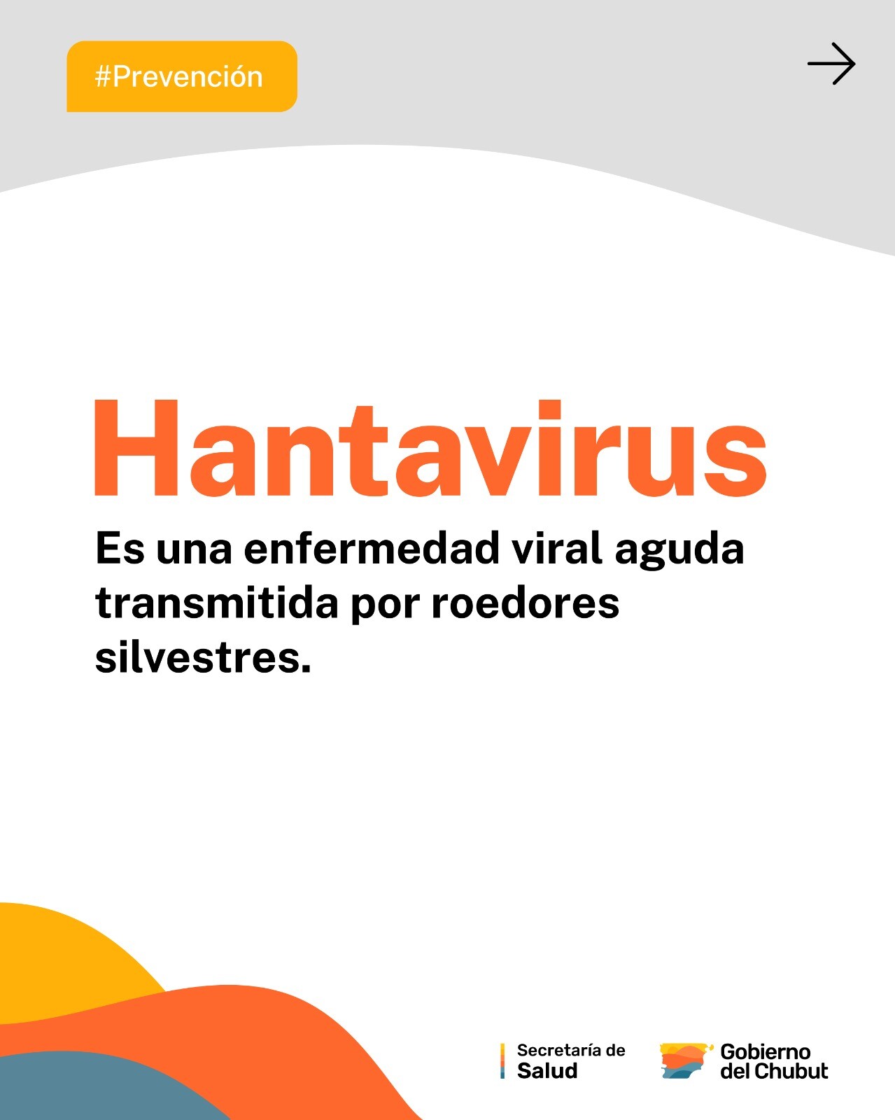 Salud: Provincia confirmó la detección de un caso de Hantavirus en la localidad de Corcovado