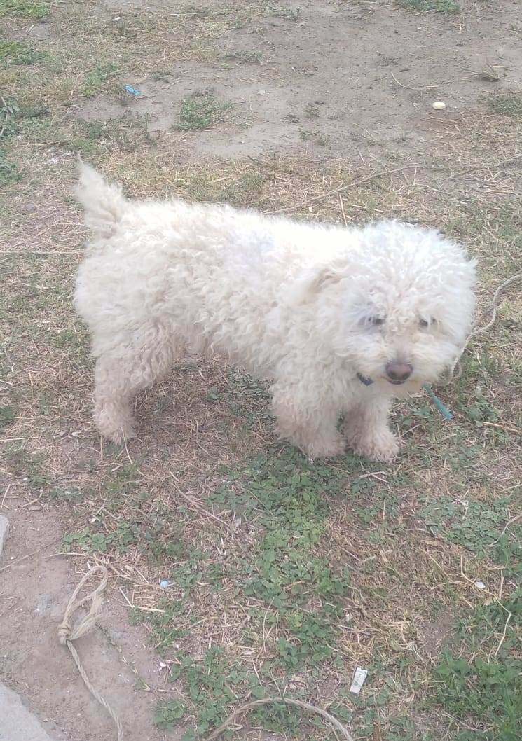 Llamado a la Solidaridad