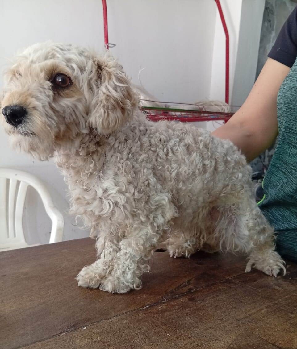 Llamado a la solidaridad