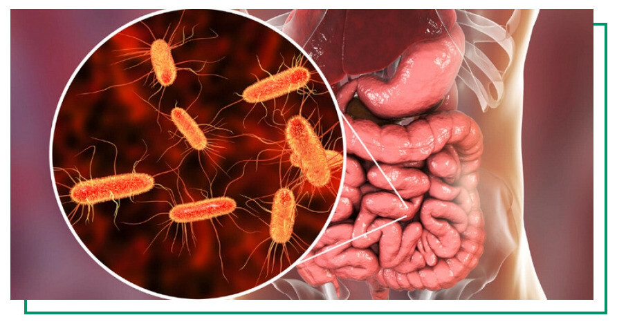 WhatsApp Image 2025-11-05 at 12.07.43.jpeg Detectan el primer caso de Escherichia Coli en Trelew: recomiendan extremar precauciones alimentarias