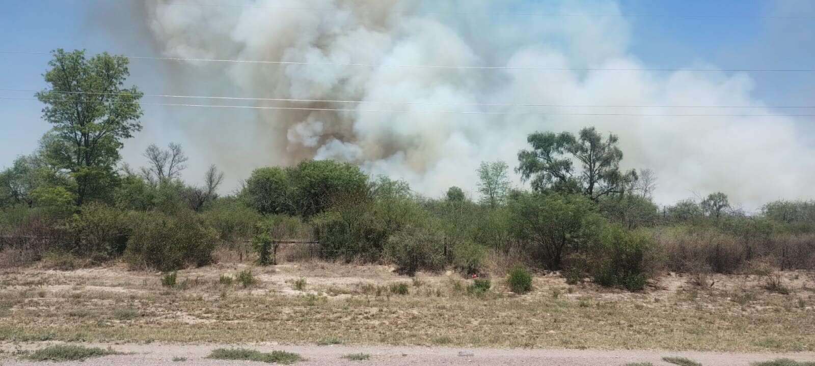 WhatsApp Image 2025-11-26 at 12.47.02 (1).jpeg WhatsApp Image 2025-11-26 at 12.47.02 (1).jpeg