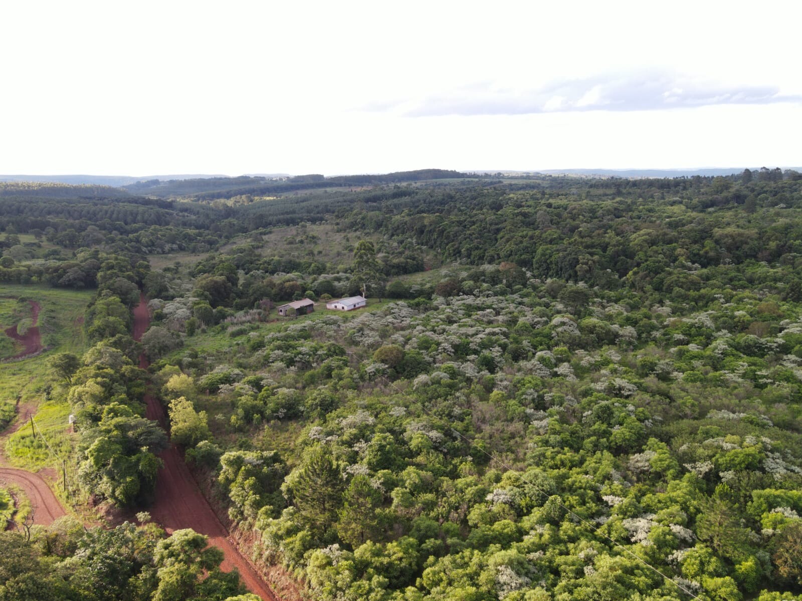 Tiempo estable y soleado