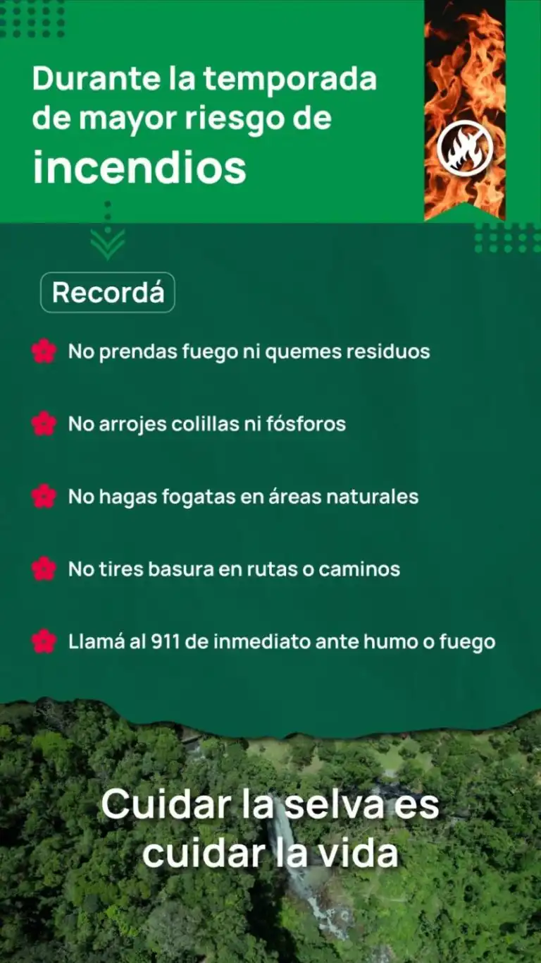 WhatsApp-Image-2026-01-26-at-9.30.56-AM-768x1365.jpeg.webp