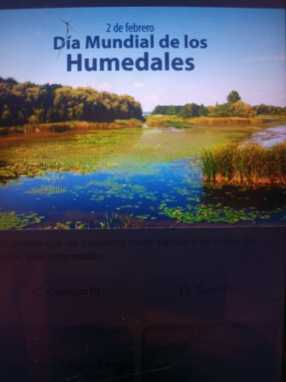 WhatsApp-Image-2026-02-02-at-08.19.25-1151298691e05e260