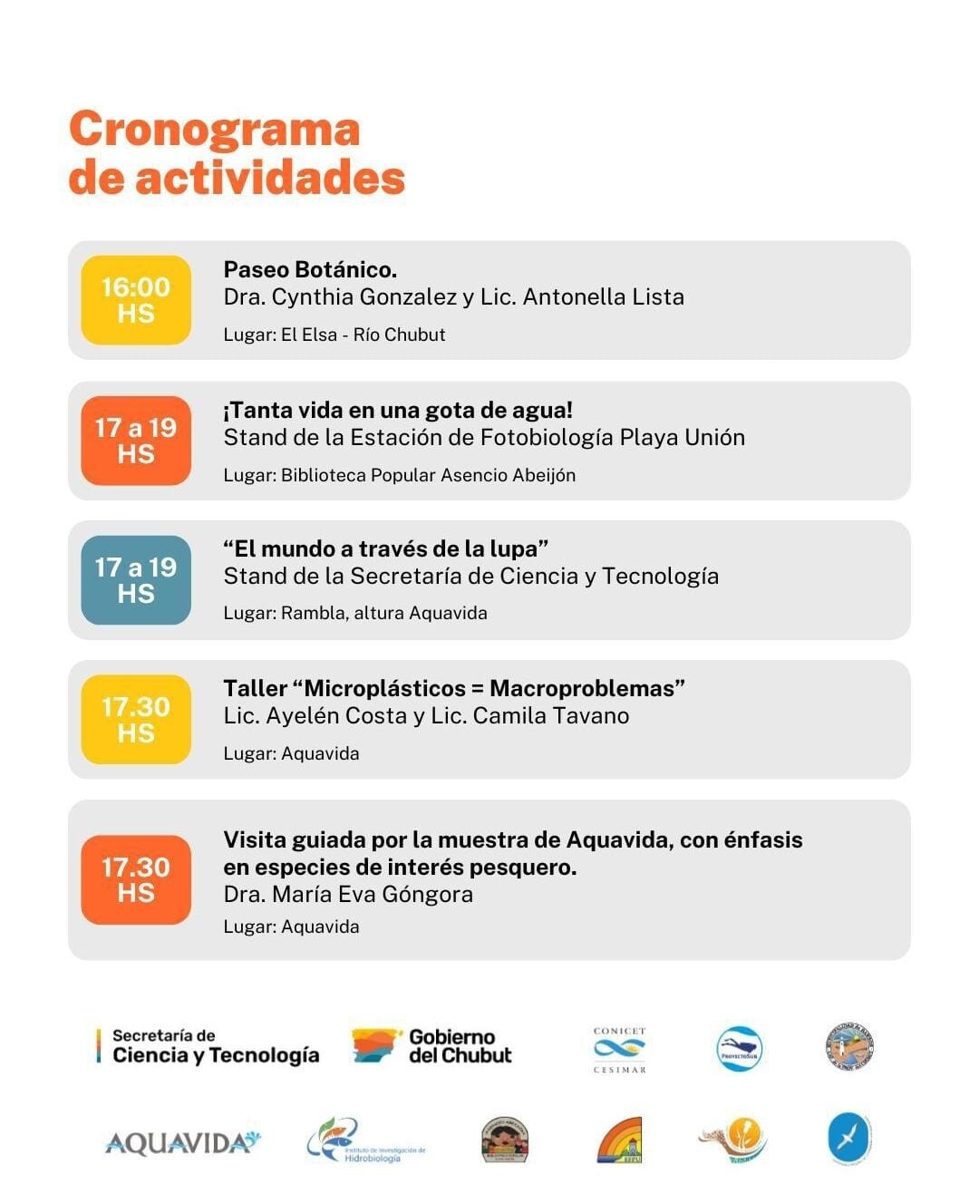 WhatsApp Image 2026-02-09 at 22.11.07 (1).jpeg