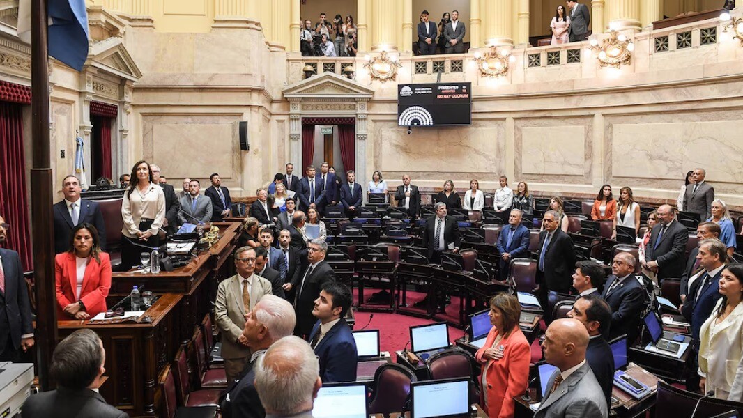 WhatsApp Image 2026-02-12 at 08.38.24.jpeg