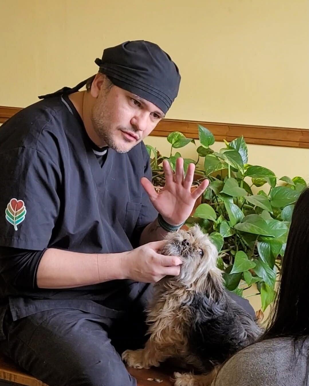 Se realizó en Tolhuin la primera jornada del año de castración, desparasitación e identificación animal