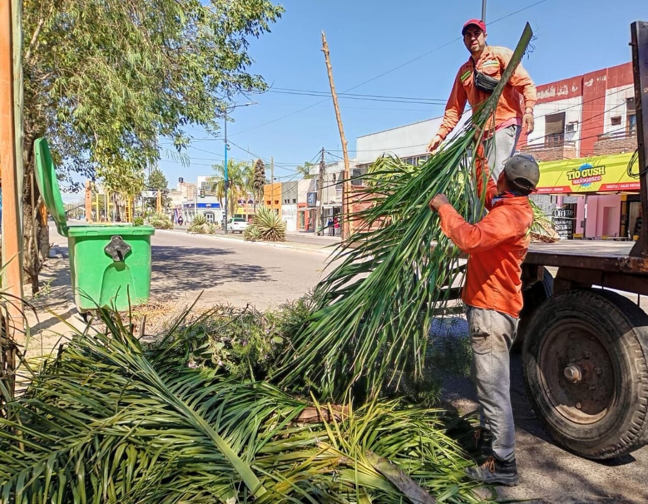 El municipio informó cómo funcionarán los servicios municipales durante el fin de semana largo