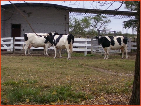 WhatsApp Image 2026-03-24 at 11.36.52.jpeg