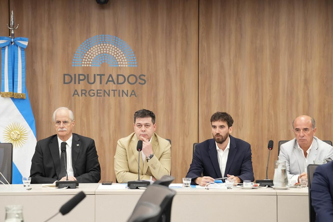 Cesar Treffinger fue designado presidente de la comisión de intereses marítimos, fluviales, pesqueros y portuarios