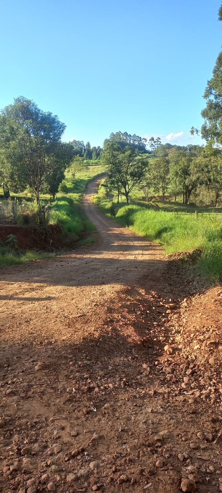 EL TIEMPO: Viernes a pleno sol