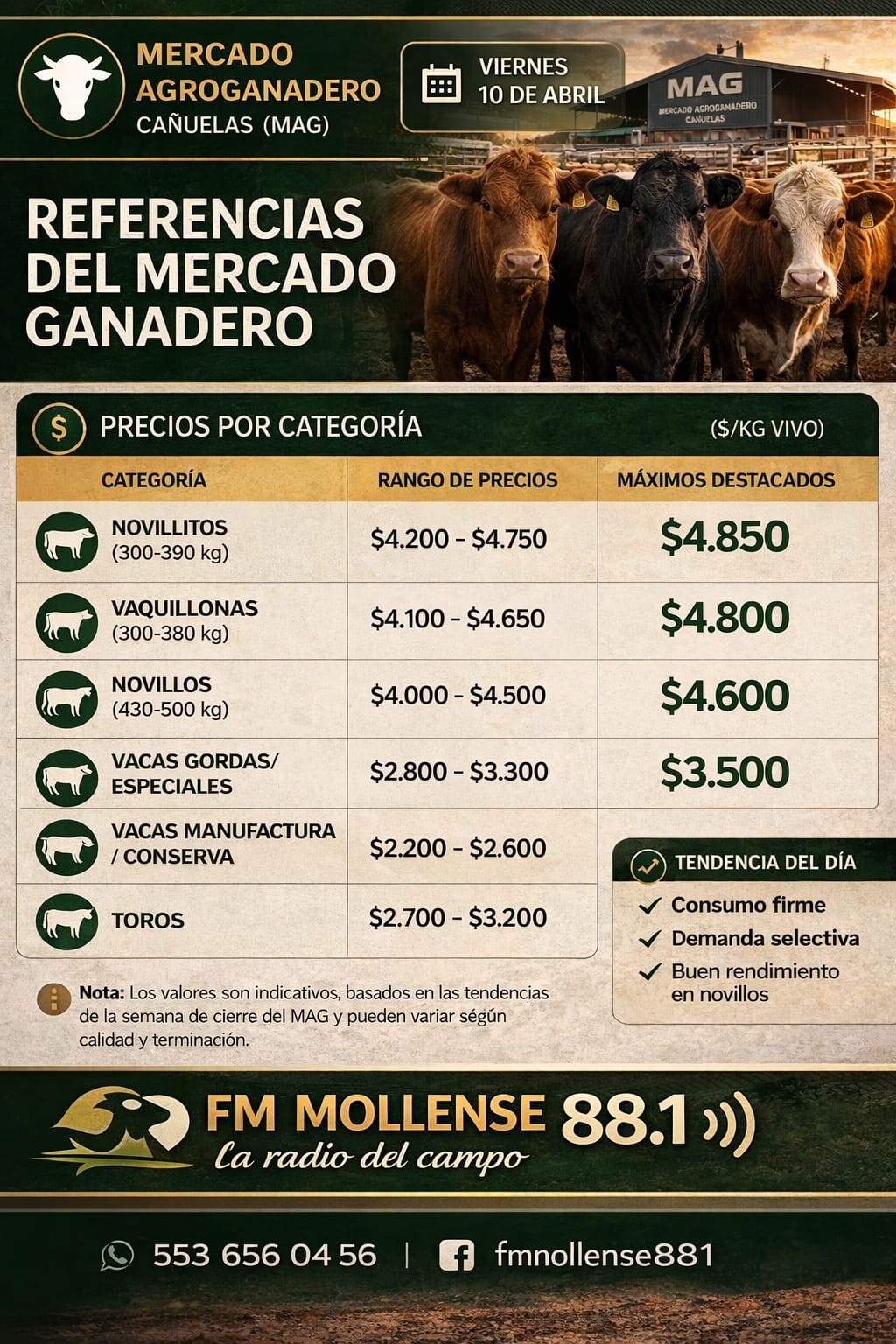 WhatsApp Image 2026-04-10 at 2.19.50 PM.jpeg Mercado ganadero: valores firmes en consumo y demanda selectiva en Cañuelas