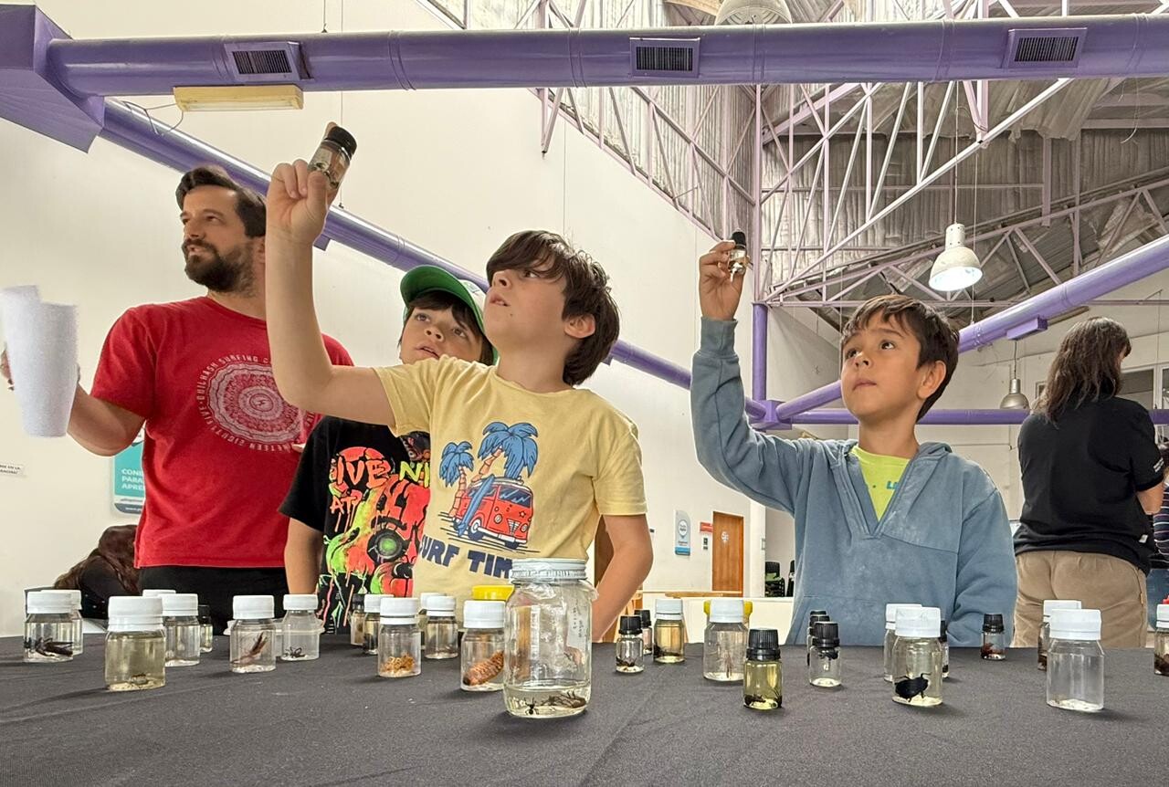 Provincia realizó jornadas a pura ciencia en Lago Puelo con gran participación de la comunidad