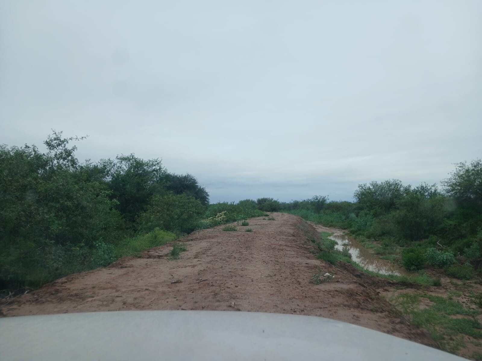 WhatsApp Image 2026-04-25 at 11.38.33.jpeg