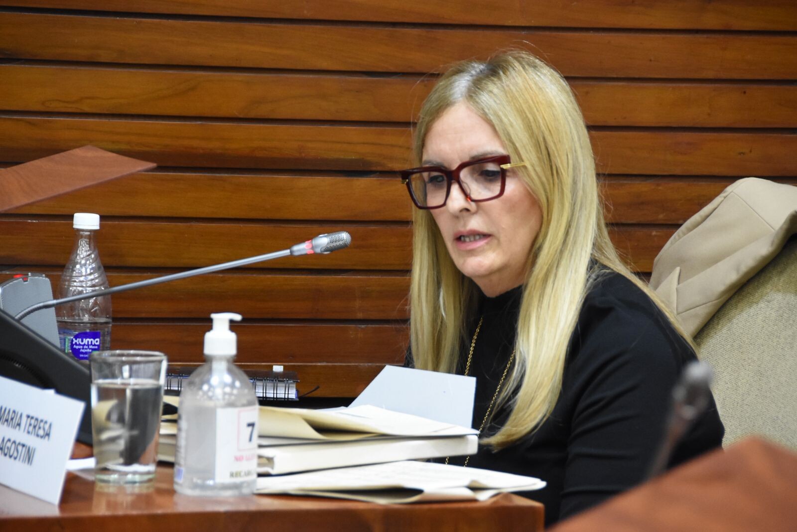 La diputada Agostini contra el doble frente opositor: «La Izquierda manipula las cifras de la coparticipación mientras Milei ejecuta el ajuste real»