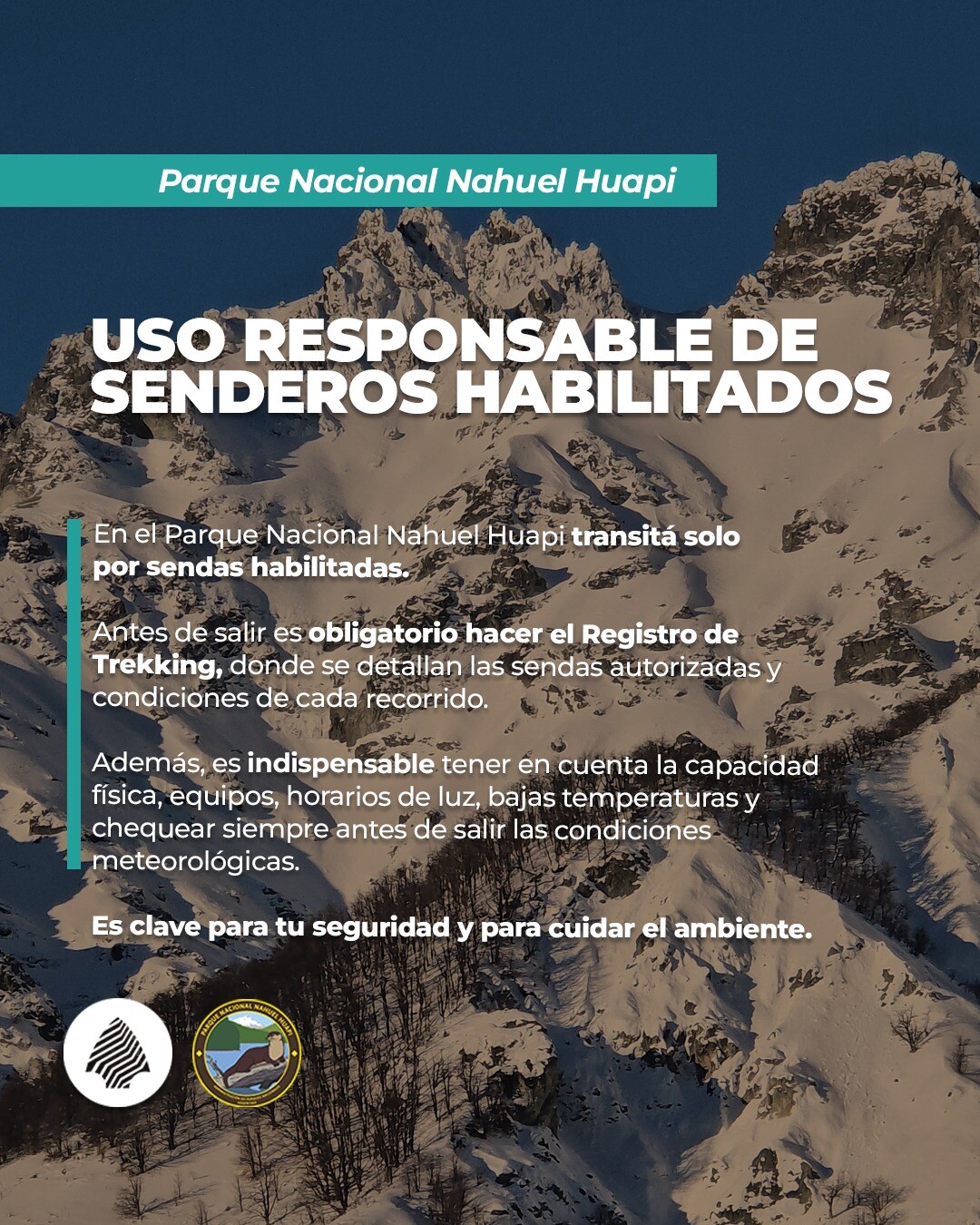 WhatsApp-Image-2026-04-27-at-13.02.01-108e89387139c0163