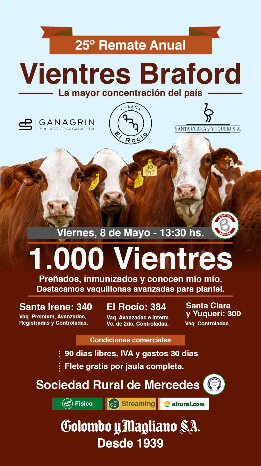 INFO RURAL – SE VIENE LA MAYOR CONCENTRACIÒN DE VIENTRES BRAFORD DEL PAIS (EDICIÓN NÚMERO 25)