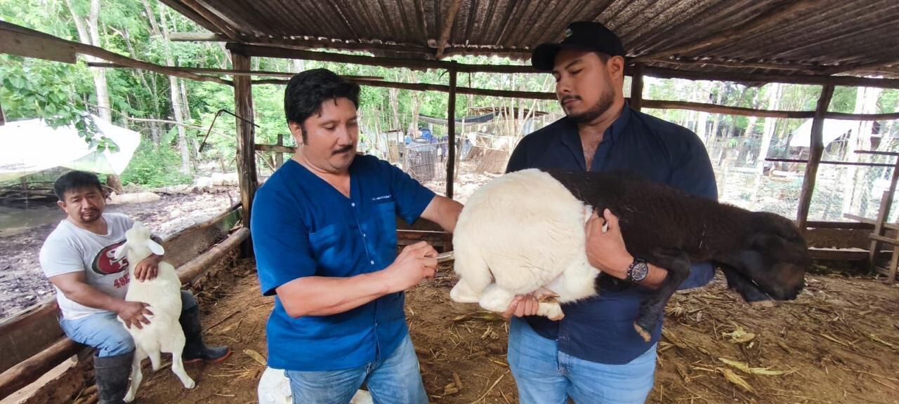 WhatsApp Image 2026-05-04 at 8.11.16 PM (1).jpeg