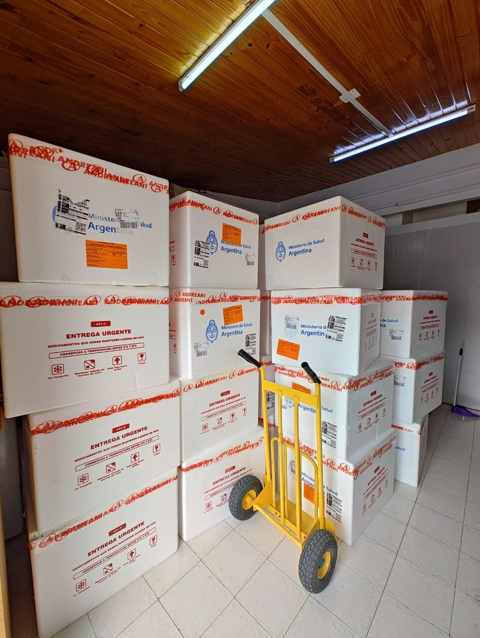Salud distribuyó más de 13.000 nuevas vacunas antigripales en Chubut y refuerza la campaña de vacunación