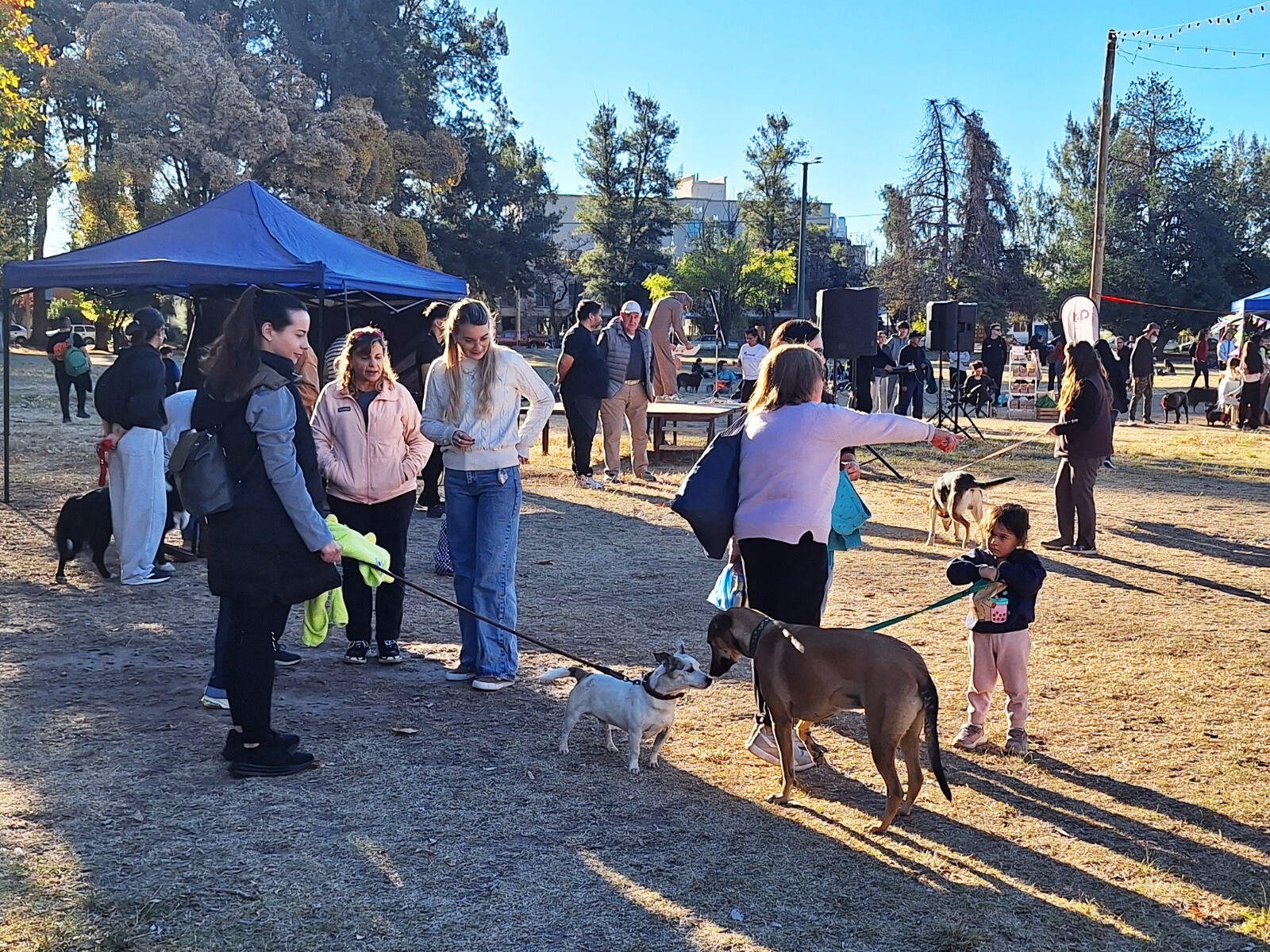 CIENTOS DE SANRAFAELINOS SE SUMARON A LA “CANINATA” PARA CONCIENTIZAR SOBRE EL BIENESTAR ANIMAL