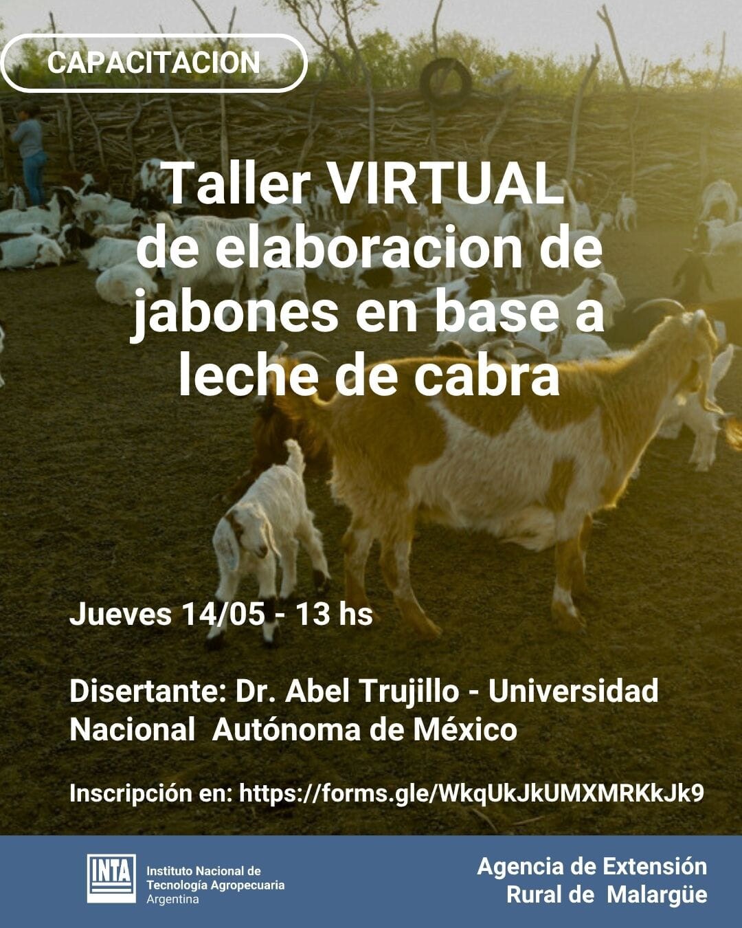 San Rafael | Taller Virtual de Elaboración de Jabones a base de Leche de Cabra