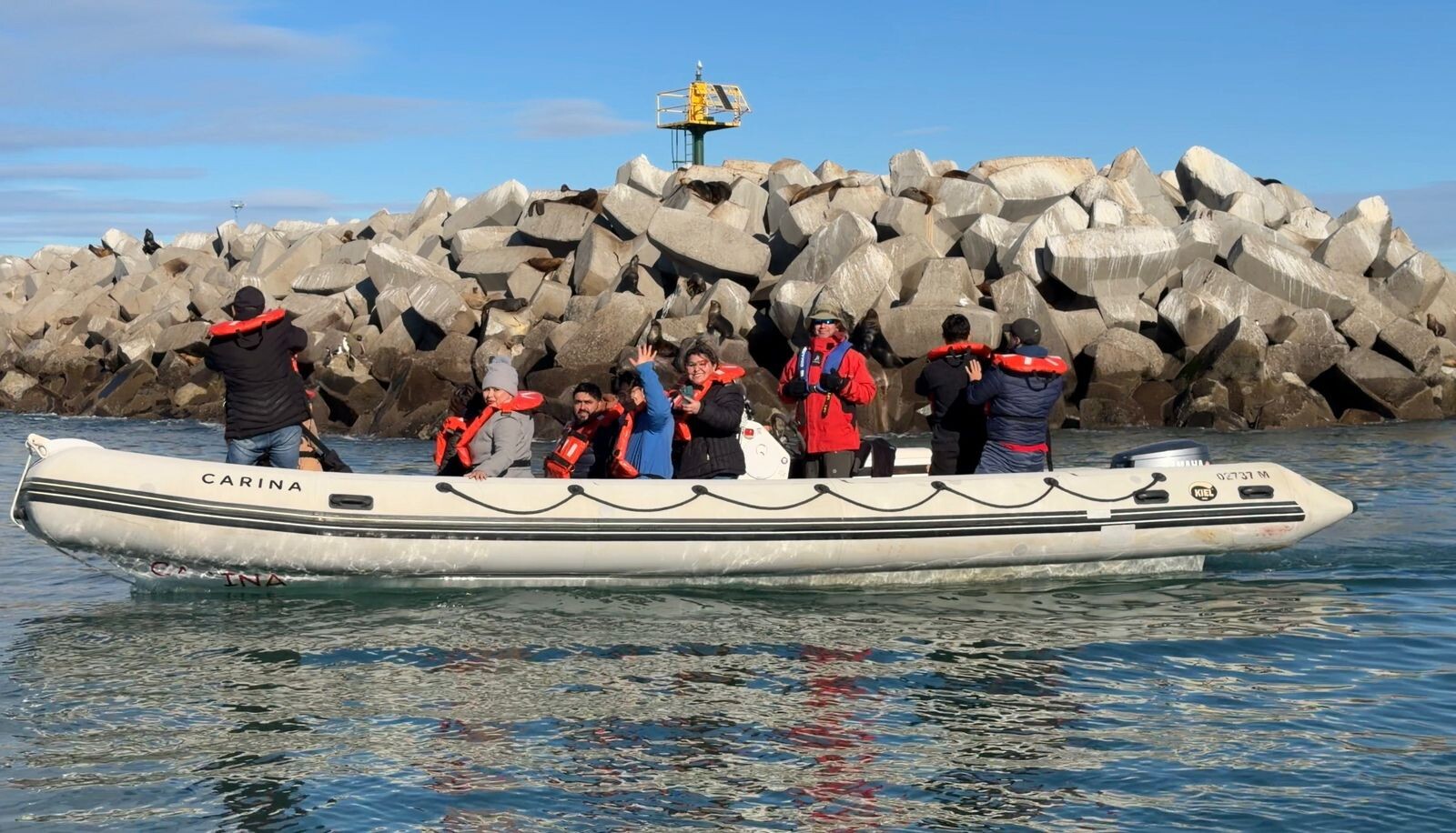 Chubut impulsa nuevas experiencias de turismo de naturaleza con fauna marina en Comodoro Rivadavia