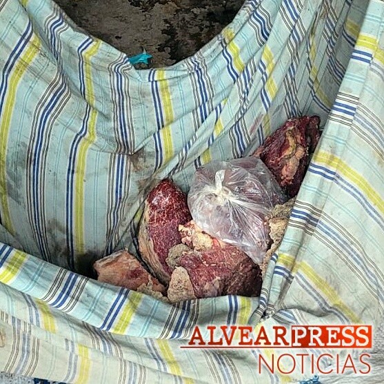 ABIGEATO | Allanamiento en Bowen, un detenido
