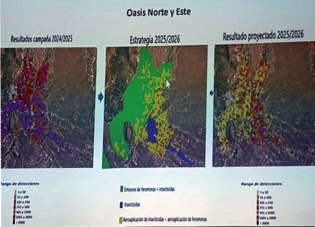 ISCAMEN presentó los resultados de la campaña Operativo Lobesia 2025/26 a entidades vitivinícolas